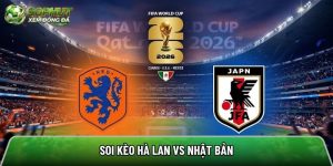Soi kèo Hà Lan vs Nhật Bản, 03:00 ngày 15/06/2026 – World Cup 2026